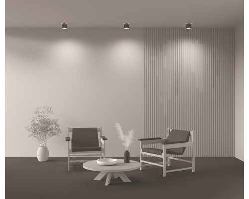 Потолочный светильник Technical C009CW-L12B