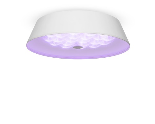 Потолочный светильник Freya FR10013CL-L24W