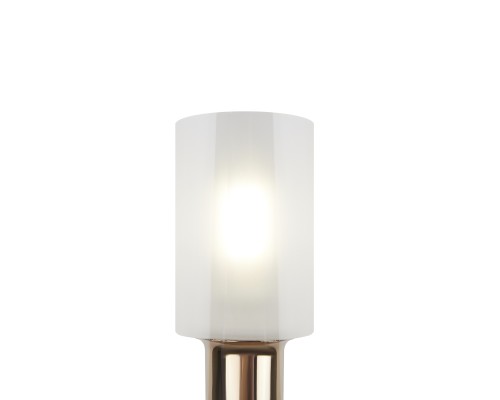 Настенный светильник (бра) Freya FR5206WL-01FG