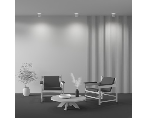 Потолочный светильник Technical C009CW-L12W4K