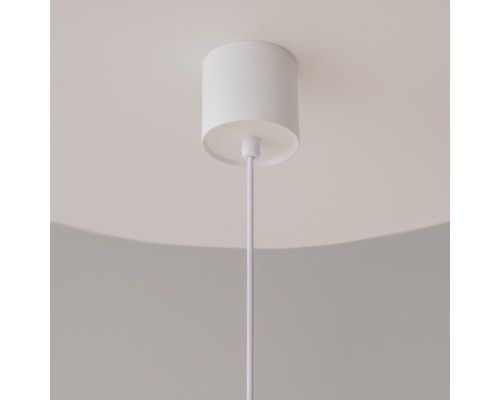 Подвесной светильник Technical P100PL-20W4K-W