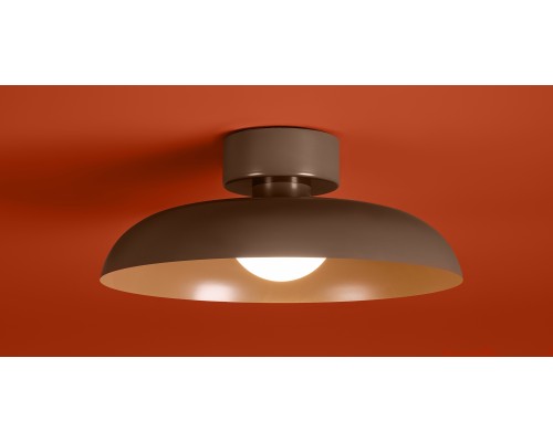 Потолочный светильник Freya FR5602CL-L10BR