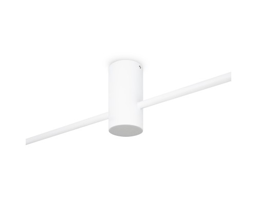 Потолочный светильник Freya FR5363CL-02W1