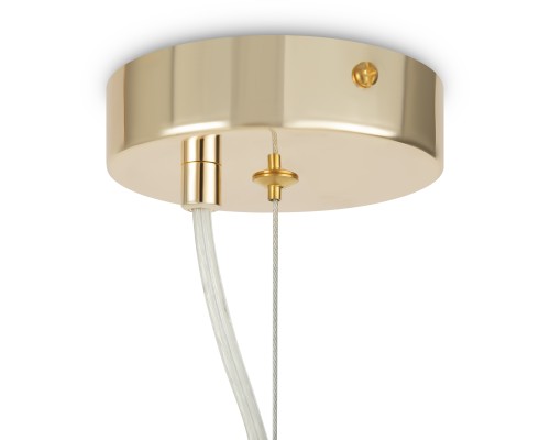 Подвесной светильник Maytoni MOD490PL-01G