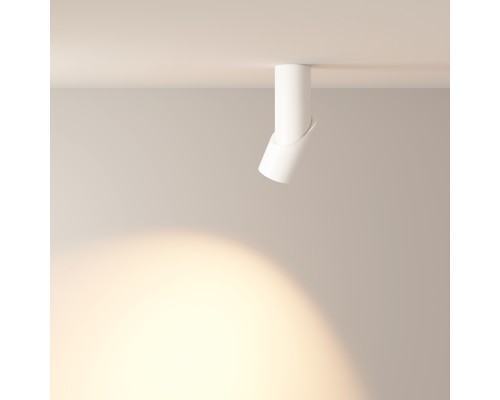 Потолочный светильник Technical C027CL-L10W