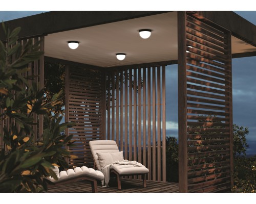 Потолочный светильник Outdoor O438CL-L12GF3K