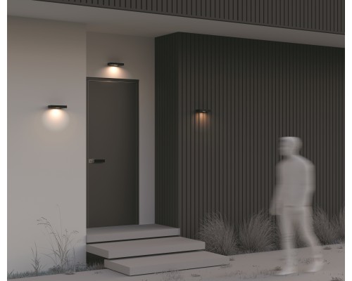 Настенный светильник (бра) Outdoor OSL456WL-L2GF3K