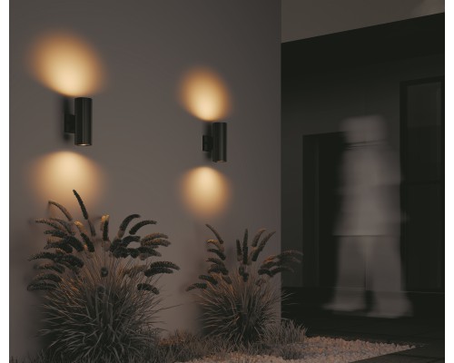 Настенный светильник (бра) Outdoor O419WL-02B