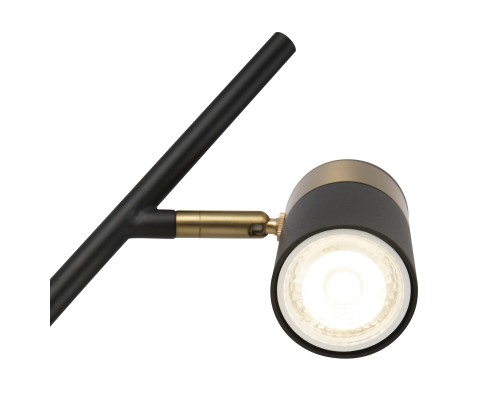 Настольный светильник Freya FR5201TL-01B