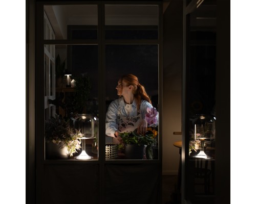 Настольный светильник Maytoni MOD286TL-L18B3K