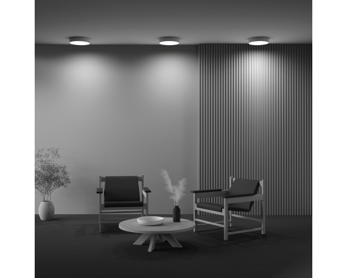 Потолочный светильник Technical C032CL-36W4K-RD-MG