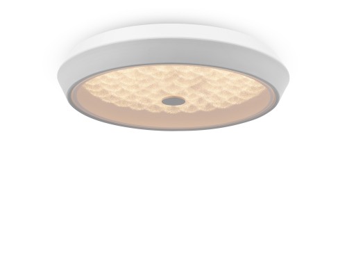 Потолочная светодиодная люстра Freya Cells FR10012CL-L24W