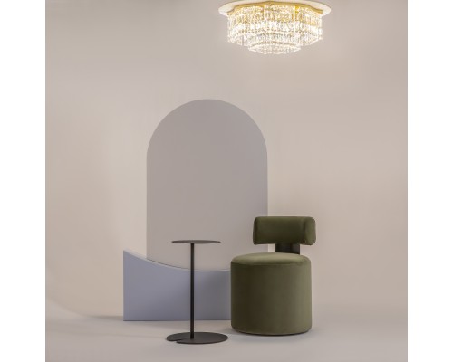 Потолочный светильник Maytoni DIA005CL-10G