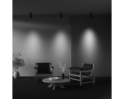 Потолочный светильник Technical C055CL-L20W2.7-3-4K-M-B