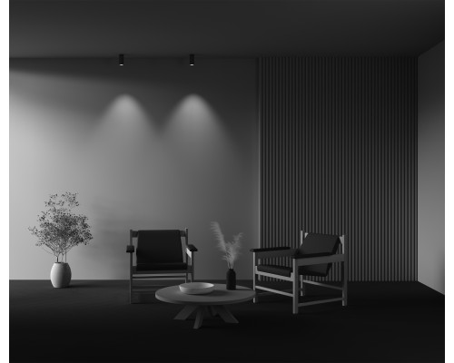 Потолочный светильник Technical C056CL-L12W3K-W-BS