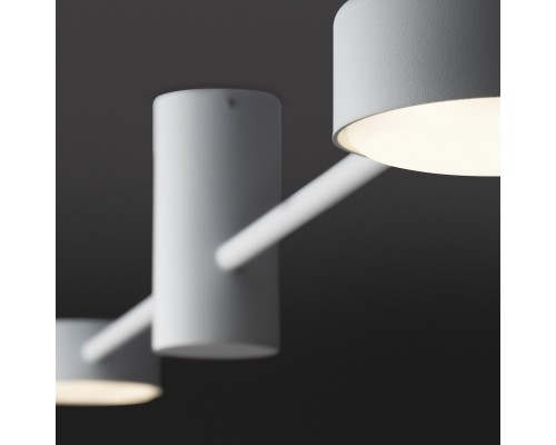 Потолочный светильник Freya FR5363CL-02W1