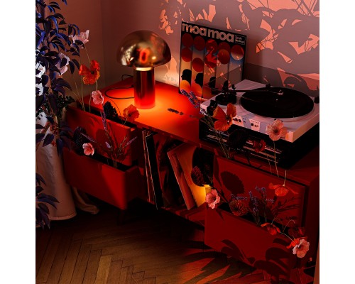 Настольный светильник Freya FR5218TL-02N