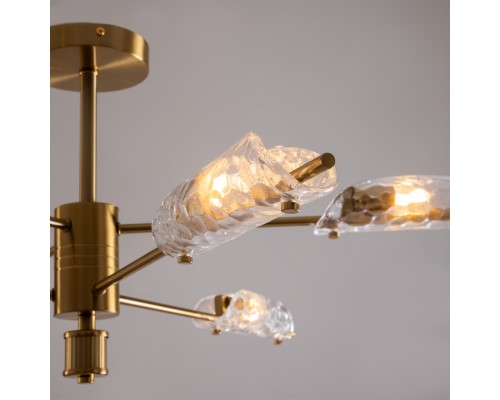 Потолочный светильник Freya FR5420CL-06BS