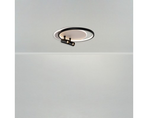Потолочный светильник Freya FR6083CL-L106WB