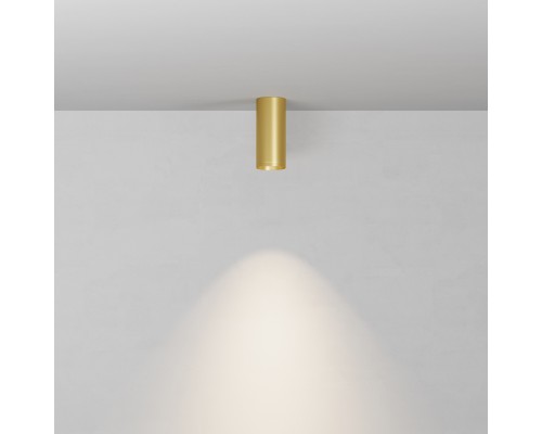 Потолочный светильник Technical C010CL-01MG-N