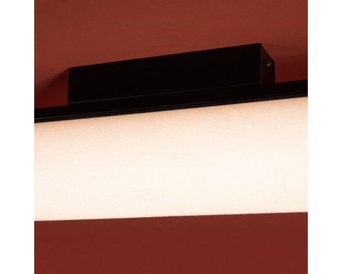 Потолочный светильник Freya FR5625CL-L20B