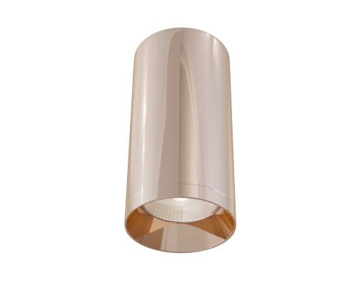 Потолочный светильник Technical C010CL-01RG