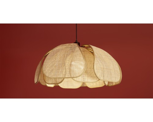 Подвесной светильник Freya FR5529PL-01B