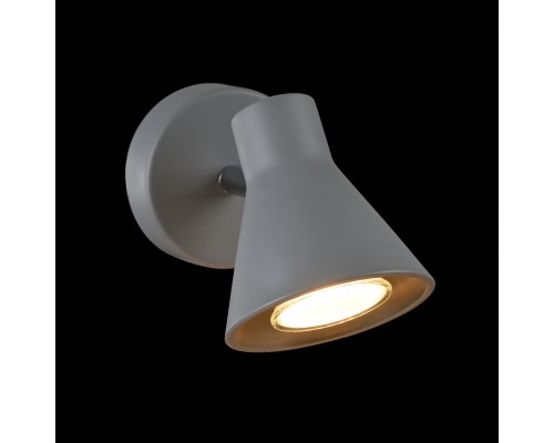 Спот Freya FR4308-WL-01-GR