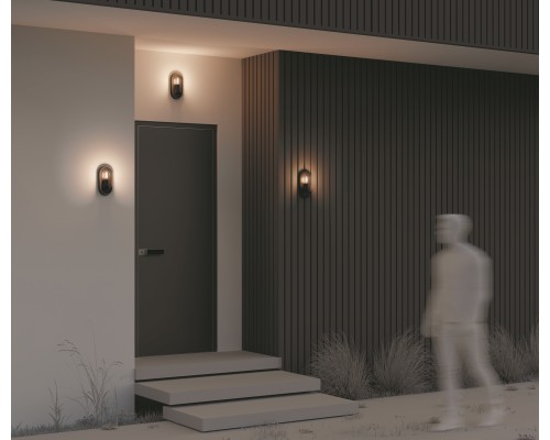 Настенный светильник (бра) Outdoor O449WL-01GF