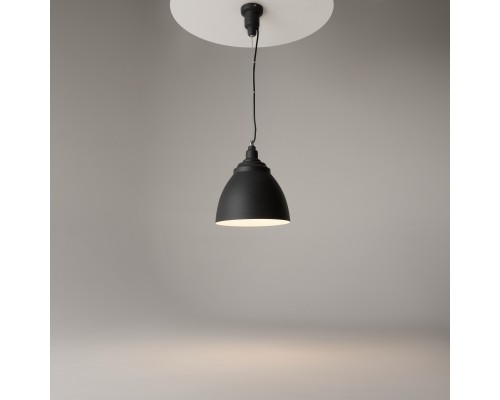 Подвесной светильник Maytoni P534PL-01B