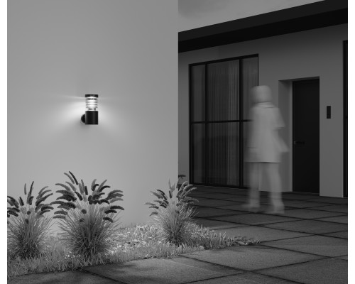 Настенный светильник (бра) Outdoor O439WL-L12GF3K