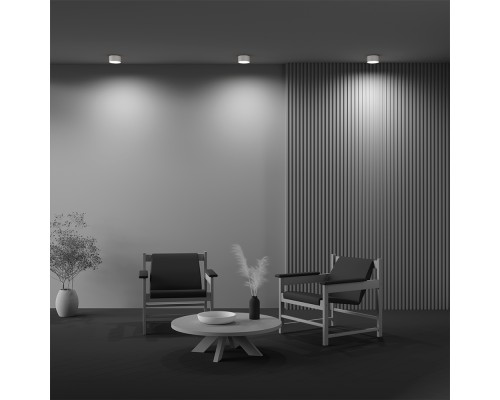 Потолочный светильник Technical C032CL-12W3K-RD-W