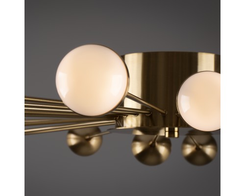 Потолочный светильник Freya FR5242CL-24BS