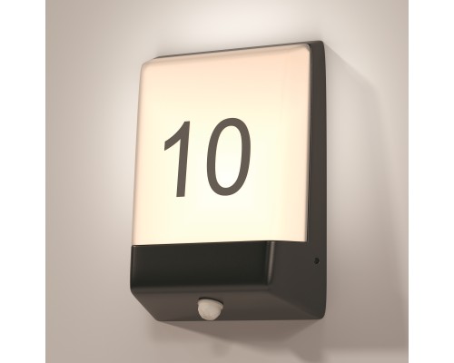 Настенный светильник (бра) Outdoor O448WL-L9GF3KSR