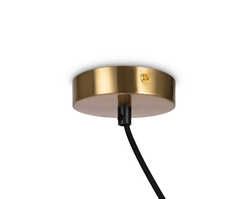 Подвесной светильник Freya FR5221PL-01BS