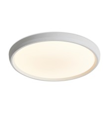 Потолочный светильник Freya FR6211CL-L24W