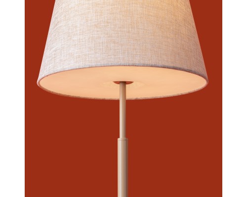 Настольный светильник Freya FR2057TL-01BG