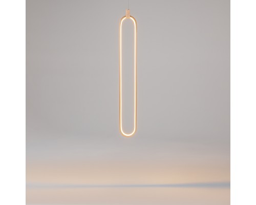 Подвесной светильник Maytoni MOD017PL-L13G