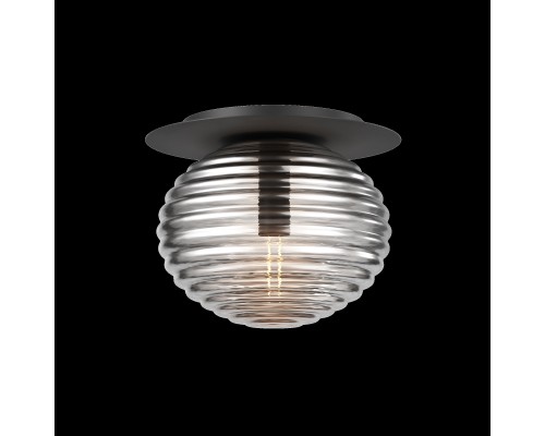 Потолочный светильник Maytoni MOD268CL-01B