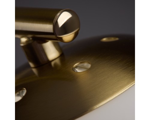 Потолочный светильник Freya FR5443CL-04BS