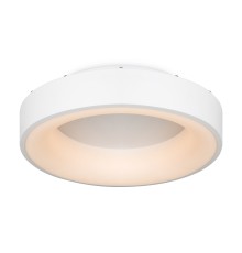 Потолочный светильник Freya FR6118CL-L45W