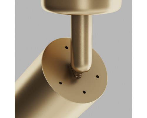 Потолочный светильник Technical C017CW-01MG