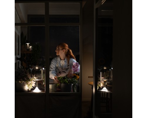 Настольный светильник Maytoni MOD286TL-L8B3K