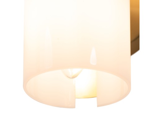 Настенный светильник (бра) Freya FR5368WL-02BS