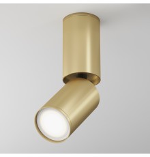 Потолочный светильник Technical C051CL-01G