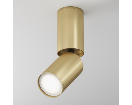 Потолочный светильник Technical C051CL-01G