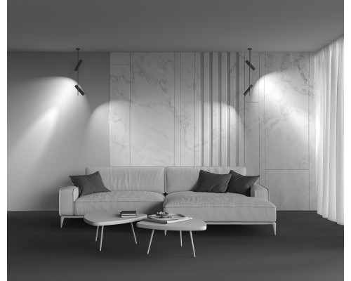 Потолочный светильник Technical C021CL-02B