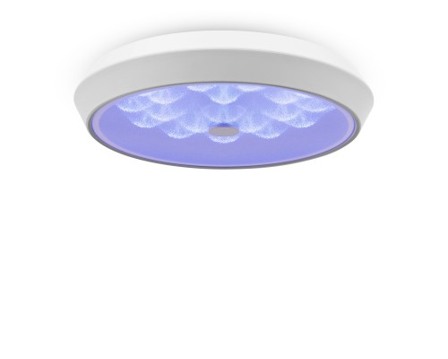 Потолочная светодиодная люстра Freya Cells FR10012CL-L24W