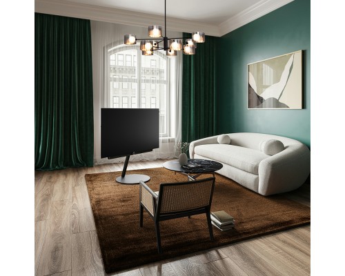 Потолочный светильник Freya FR5544CL-10B