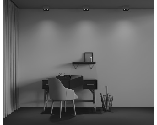 Потолочный светильник Technical C065CL-02-L12W4K-W